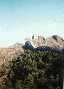 Picture of the Great Wall with Forest