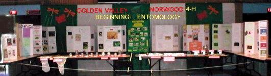 Golden Valley & Norwood 4-H Beginning Entomology display