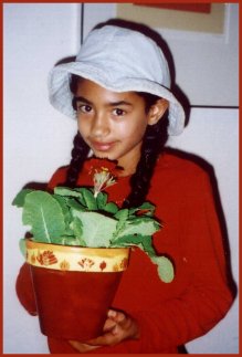 a lovely plant in a beautifully painted pot