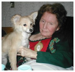 Christmas time with a puppy