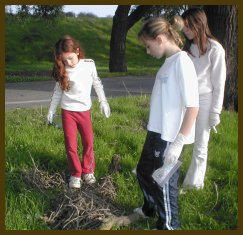 a nest that fell from a recent storm