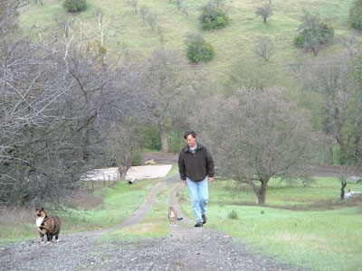 Dave walks the cats in the Winters hills.
