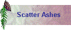 Scatter Ashes